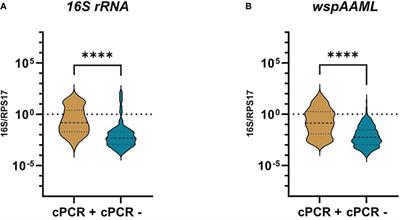 Detection and quantification of natural Wolbachia in Aedes aegypti in Metropolitan Manila, Philippines using locally designed primers